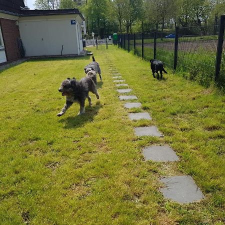 Hotel Am Schlosspark Herten Herten  Zewnętrze zdjęcie